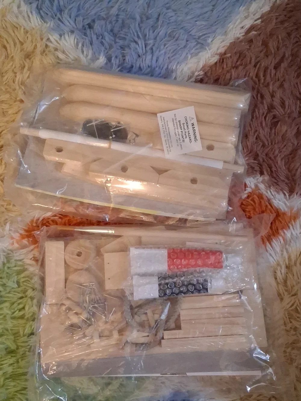 Young Woodwoekerd Kit Club - Set of 6 Different Wood Building Project Kits